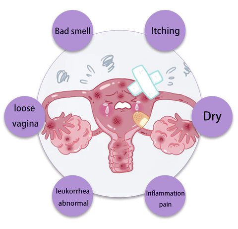 Slimf™ Graphene Honeycomb Vaginal Tightening & Body Shaping Briefs