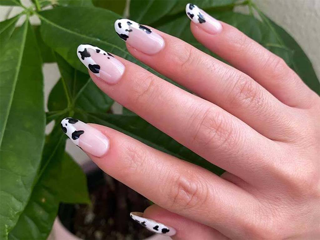 Best Cute Cow Print Nail Ideas