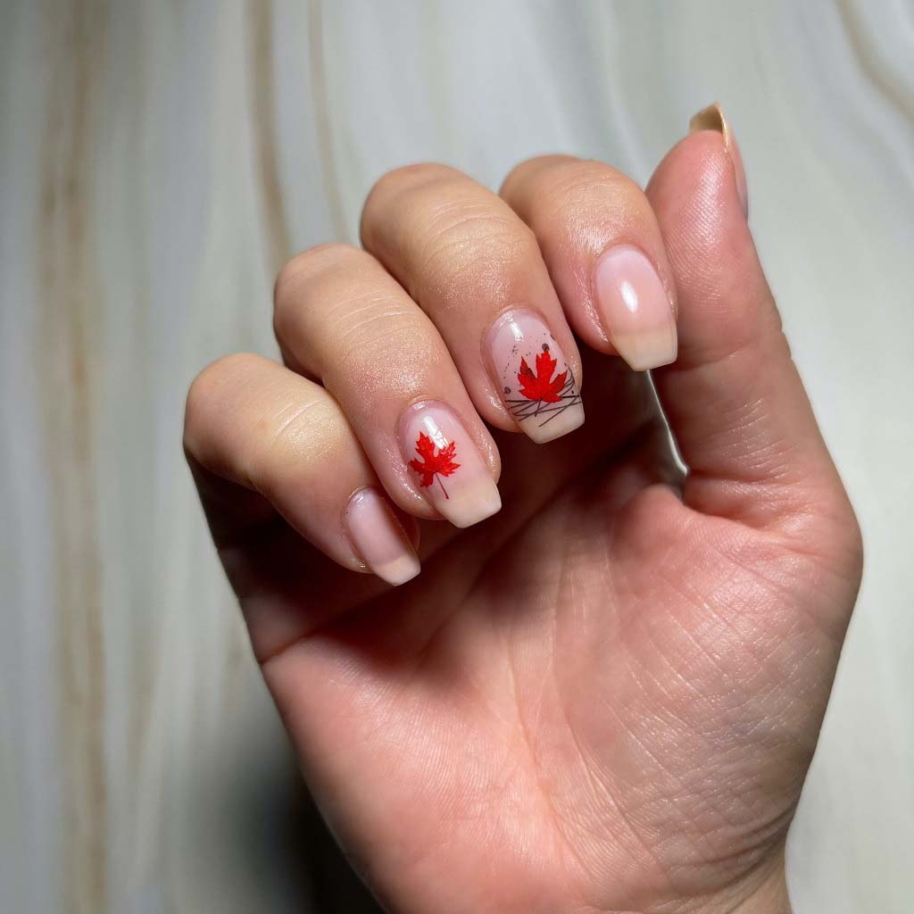 Maple Leaves on a Sheer Base