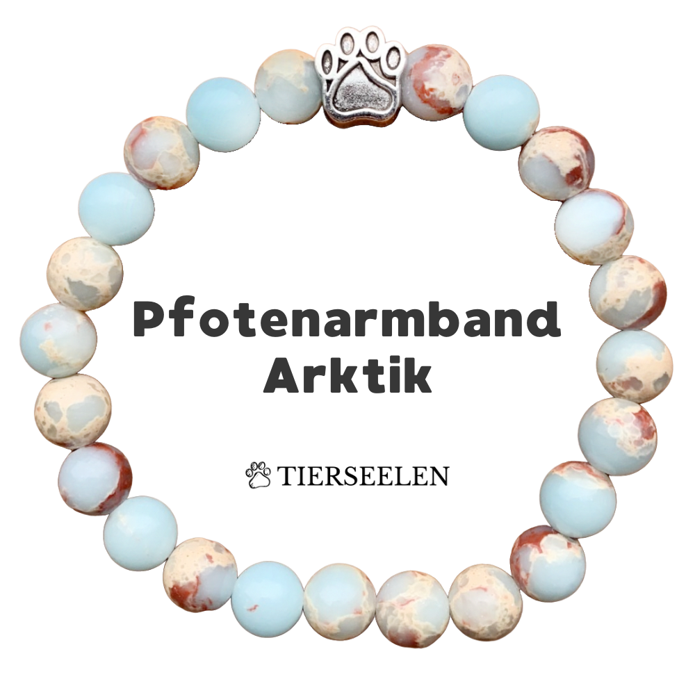 Pfotenarmband - Arktik - Tierseelen product image