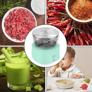 Mini Electric Food Processor