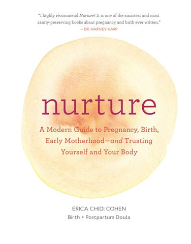 Nuture a Modern Pregnancy by Erica Chidi