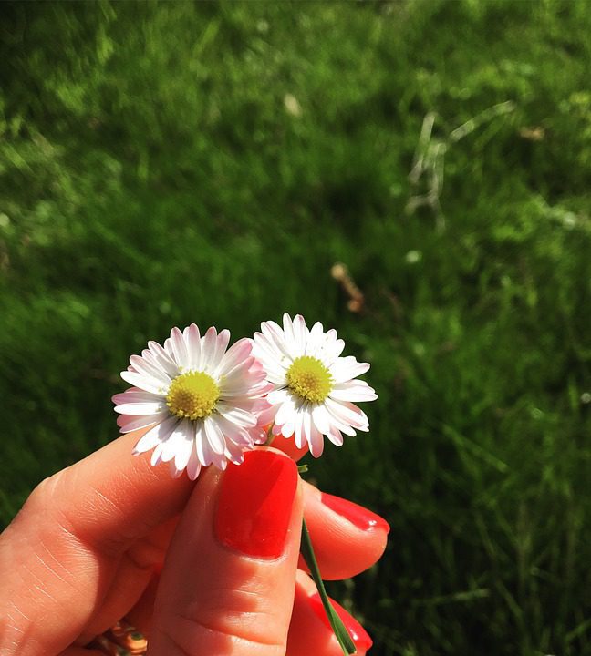 summer dip nails