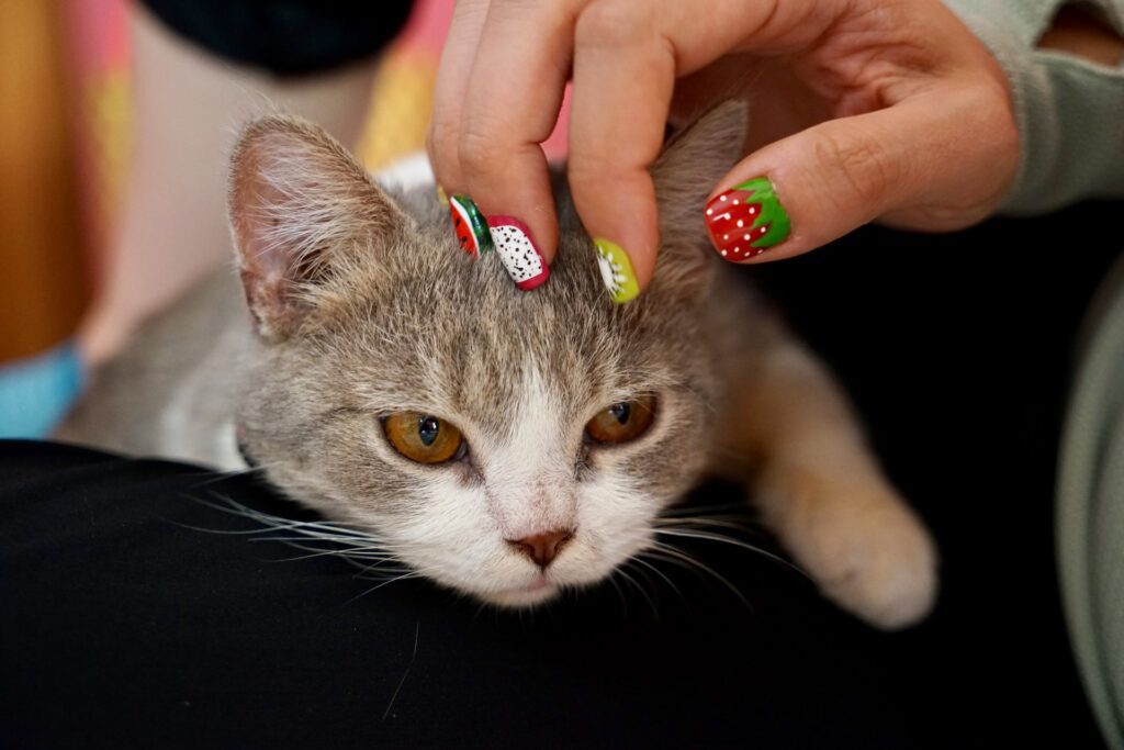 watermelon nails