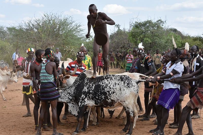 rituel saut de taureau