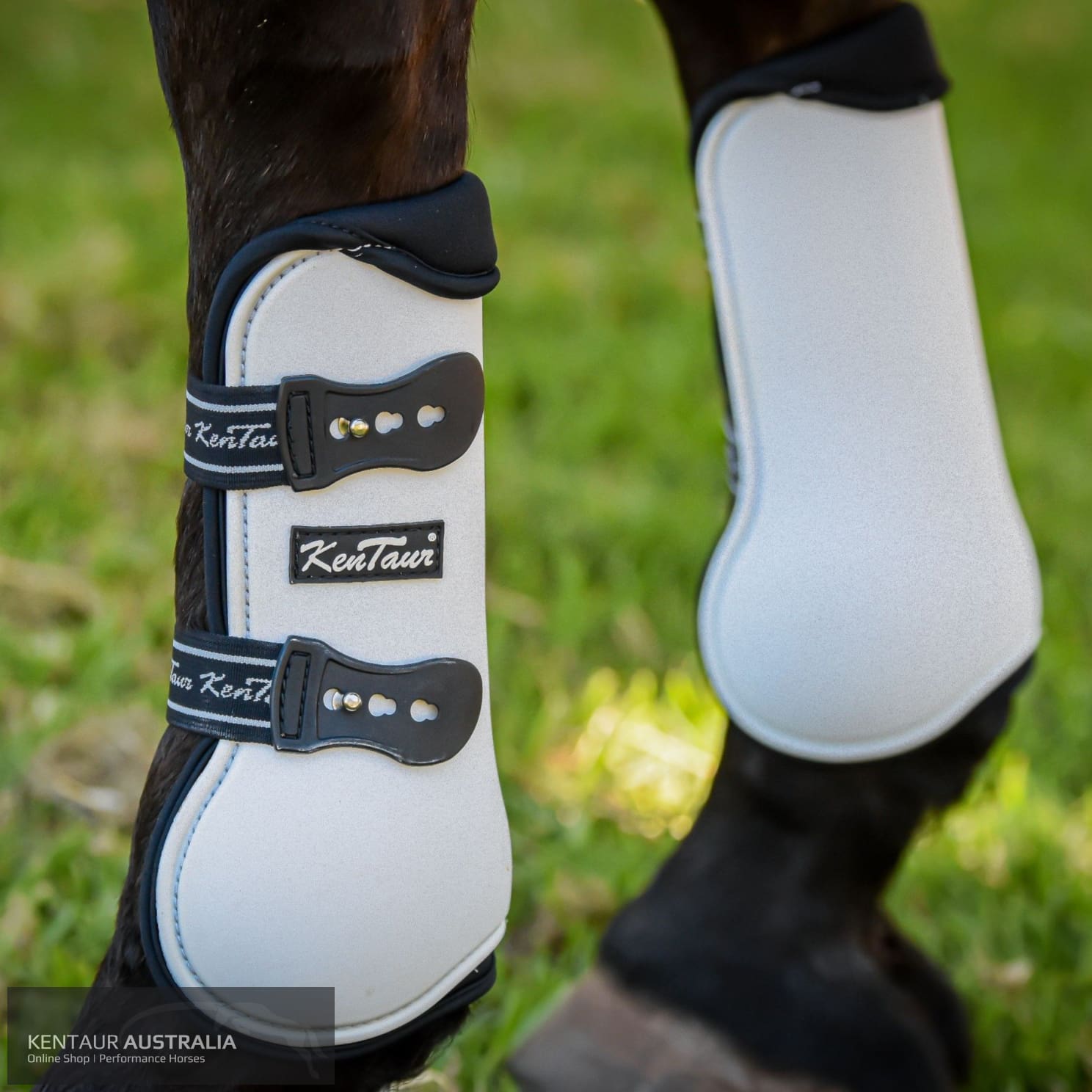 Kentaur 'Mega Jump' Front Boots, prohorsenz