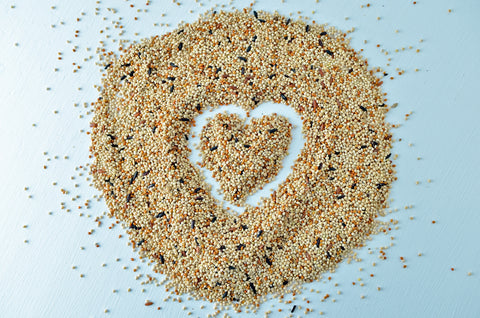 mixed grains and seeds