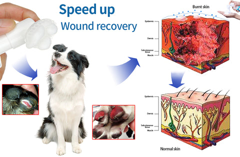 Pet Care™ Antibacterial Foot Cleansing Foam for pets
