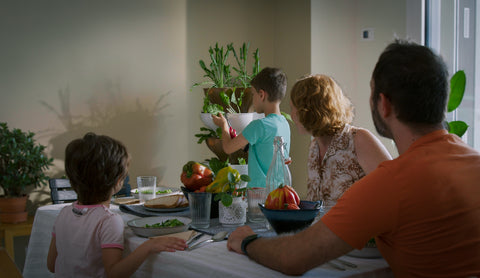 Urban farming at home with kids