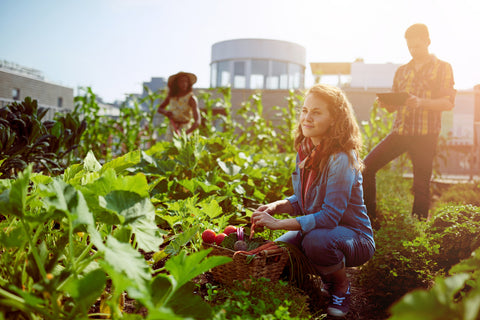 Agricoltori urbani comunità