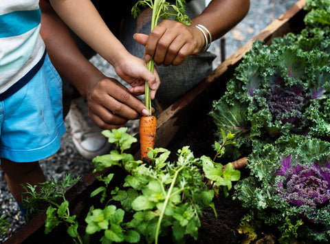 Cultivating veggies with kids