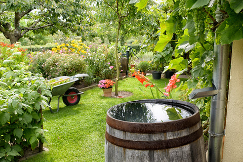Recupero acqua piovana giardino casa