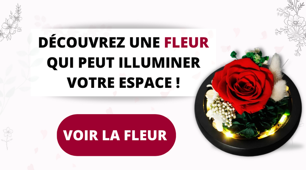 fleur eternelle pour intérieur