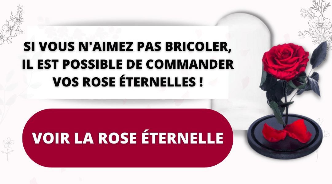 rose éternelle