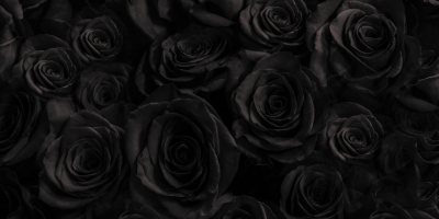 bouquet Rose Noir