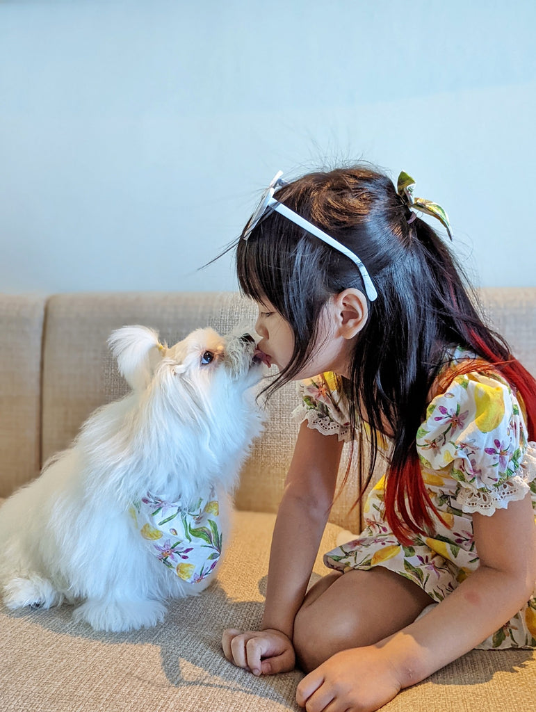 Our puppy, Bing-soo, and Rita in their custom bandana and dress 