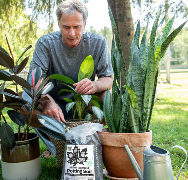 Man adding more Jocelyn's Soil Booster potting soil to pots of outdoor plants