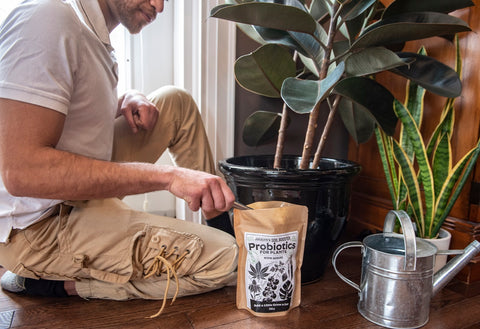 Man sits with bag of worm manure in front of houseplants and watering can