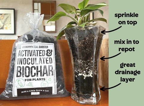 biochar in bag beside clear vase planter with pothos plant in stratified soil mixed with layers of biochar