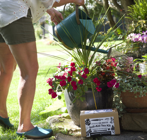 Woman watering plants on patio with soil-aid tea kit in front