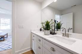 potted houseplant in white bathroom