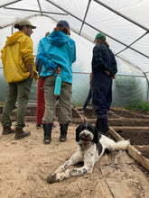 people in drying house with poodle on sandy ground