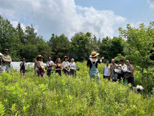 people on tour in grassy field with forest behind