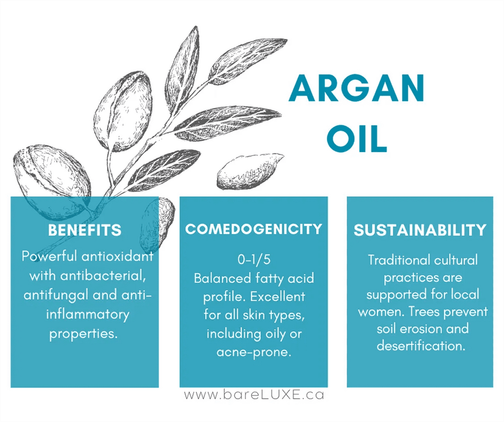 Argan Oil for skin - infographic by bareLUXE Skincare