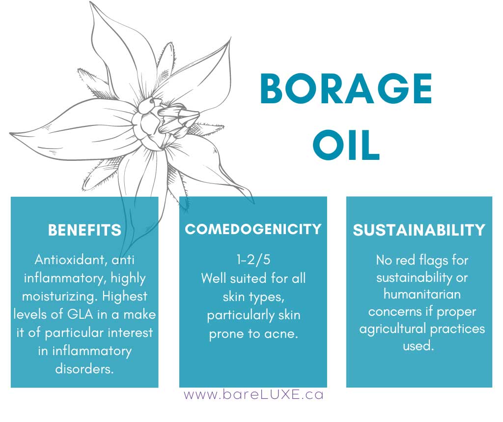 Borage Oil Skin Benefits - infographic by bareLUXE Skincare