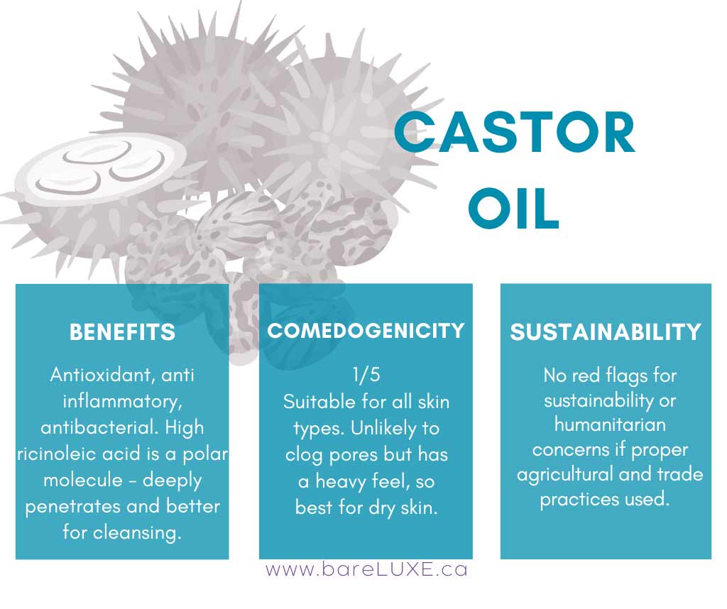 Castor Oil for Skin - infographic by bareLUXE Skincare