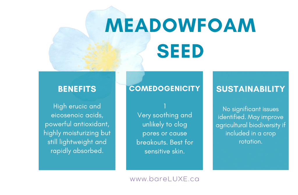 meadowfoam seed oil | best face oil for sensitive skin