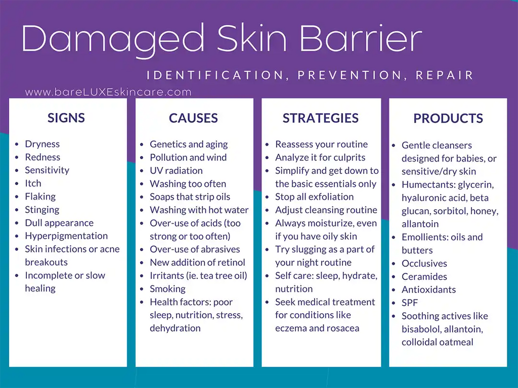 Damaged Skin Barrier Guide Summary - infographic by bareLUXE Skincare