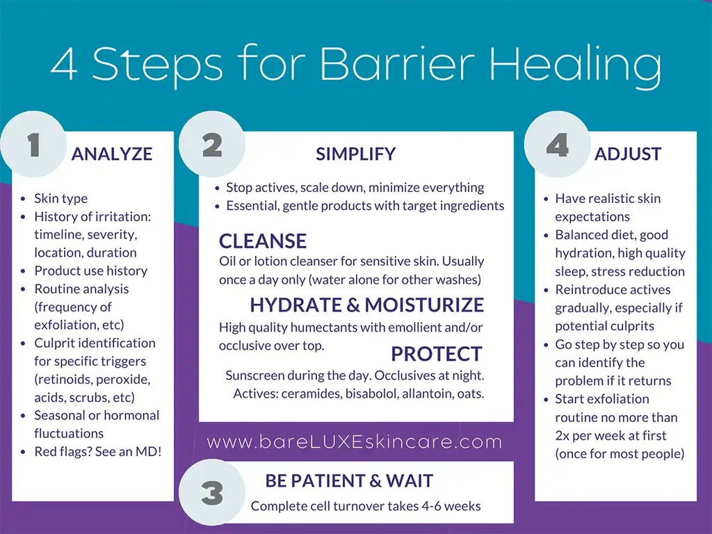 4 Steps to Skin Barrier Repair and Healing - infographic by bareLUXE Skincare