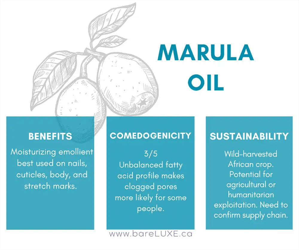 Marula Oil for Face - infographic by bareLUXE