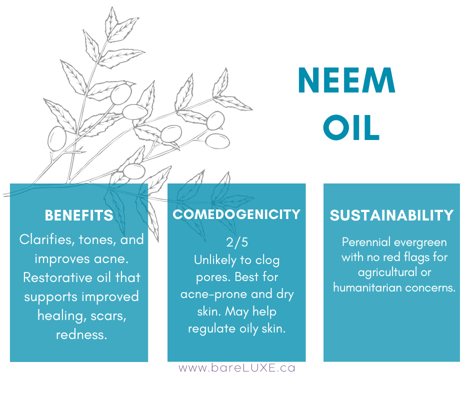 Neem Oil For Skin - bareLUXE Skincare spotlight on face oils