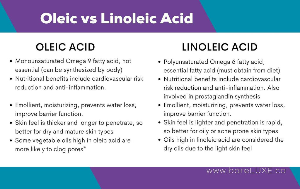 table comparing oleic acid and linoleic acid for skincare