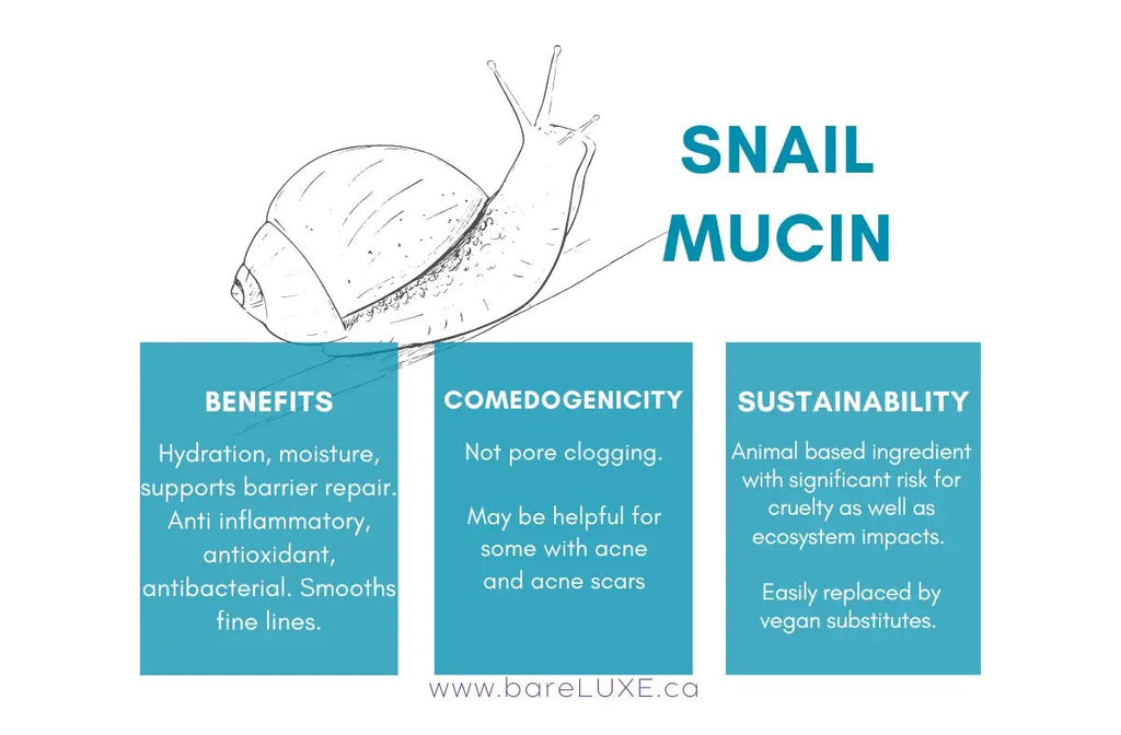 Snail Mucin for skin - infographic by bareLUXE Skincare