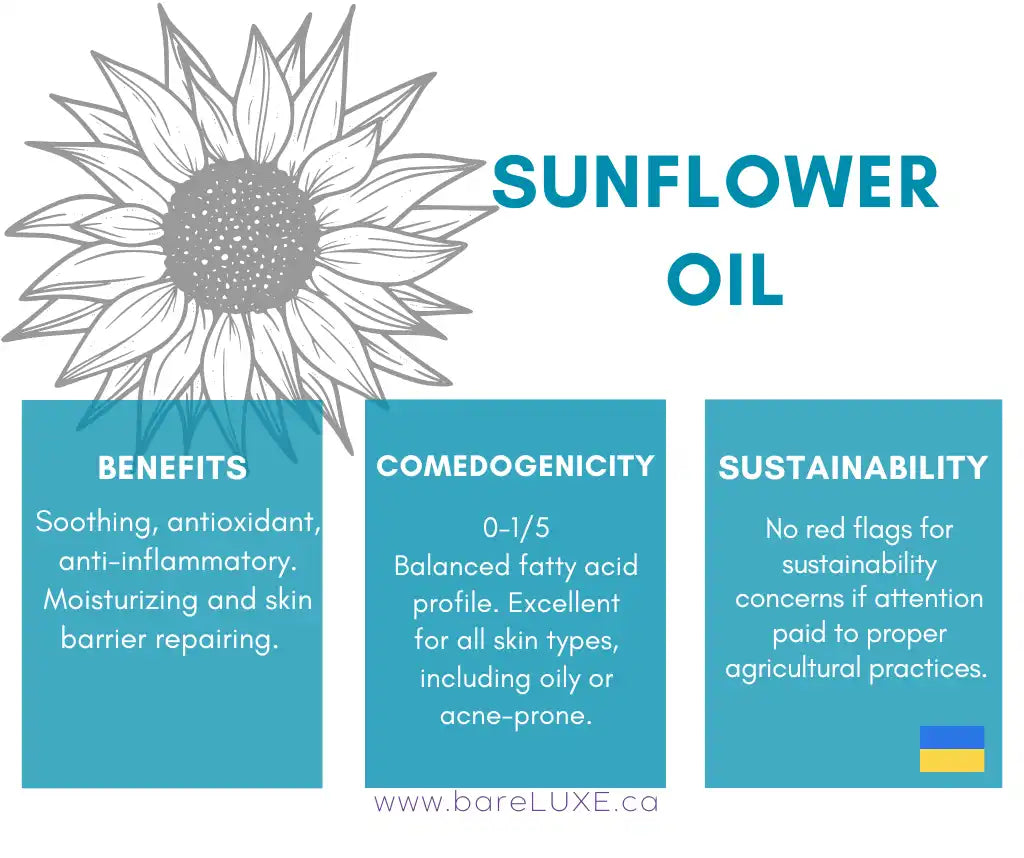 Sunflower oil for skin - infographic by bareLUXE Skincare