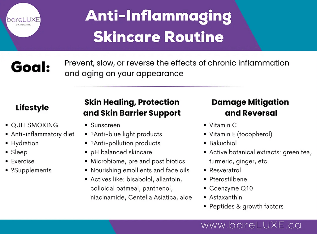 Inflammaging | Anti-inflammaging skincare | infographic by bareLUXE