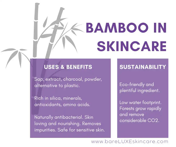 Bamboo in skincare - infographic by bareLUXE