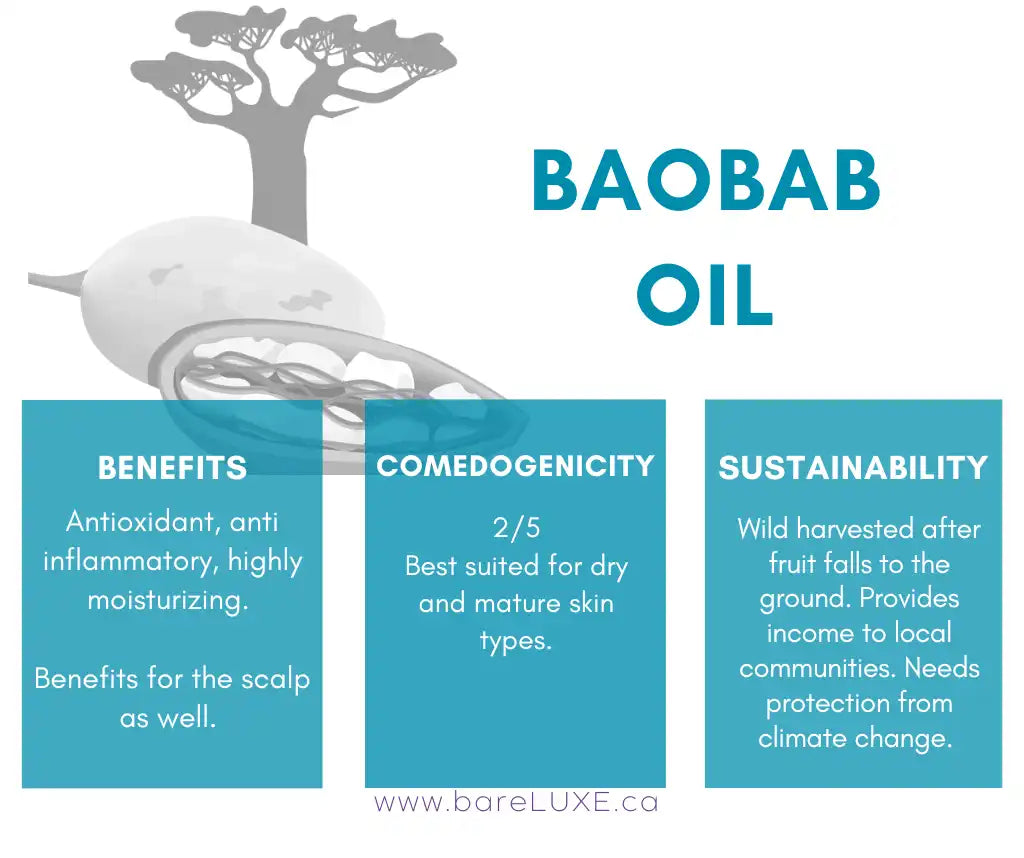 Baobab oil skin benefits - infographic by bareLUXE Skincare