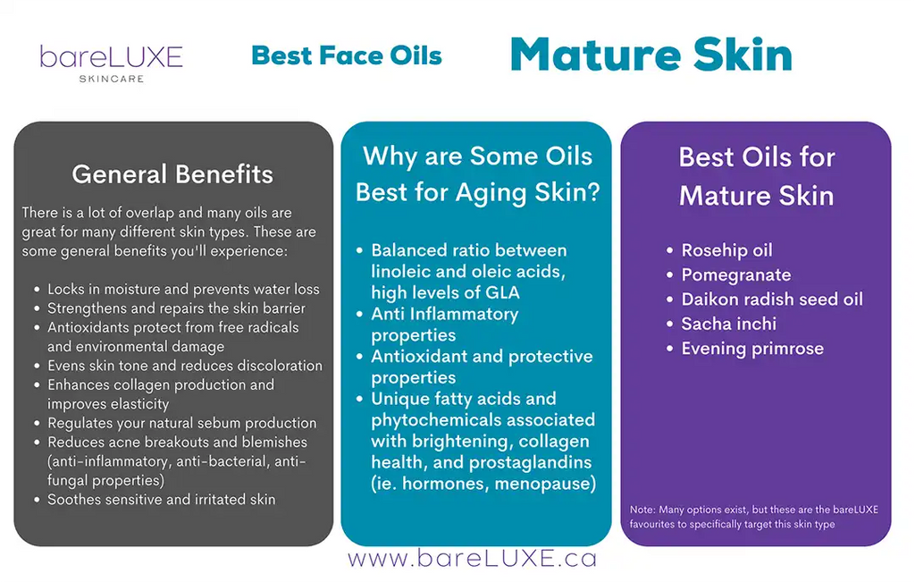 Best Face Oils for Anti-Aging - infographic by bareLUXE Skincare