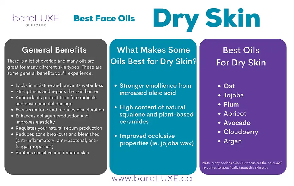 Best Face Oils for Dry Skin - infographic by bareLUXE Skincare