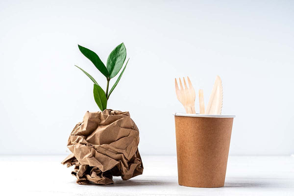 biodegradable vs compostable materials