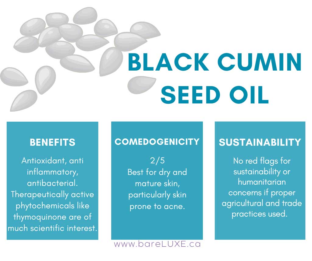 Black Cumin Seed Oil for Skin - Infographic by bareLUXE