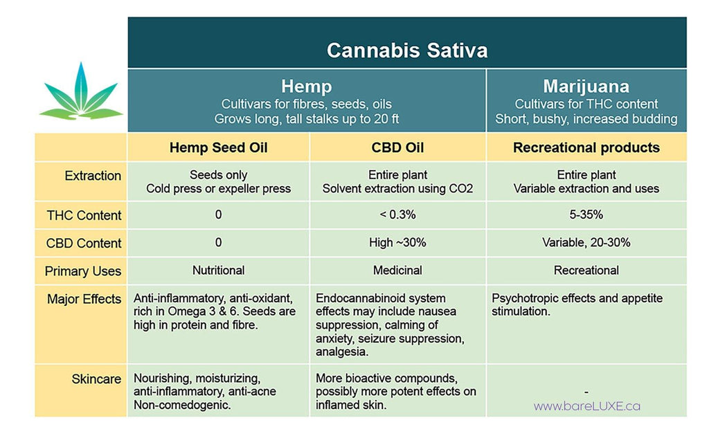 CBD Skincare | Infographic comparing Cannabis Sativa in Beauty Products 