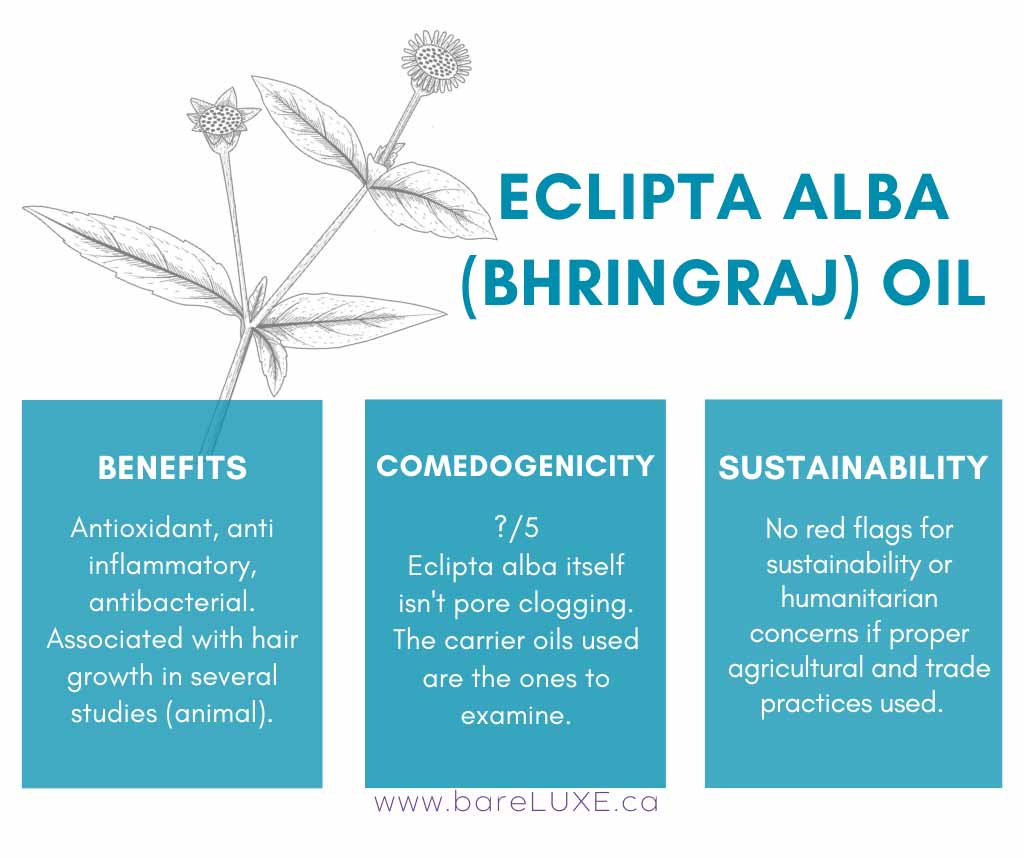 Eclipta alba oil for hair and skin - infographic by bareLUXE Skincare