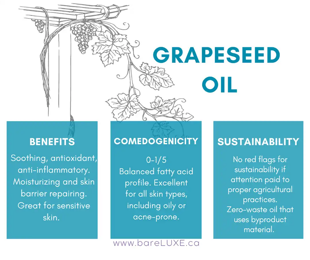 Grapeseed oil for skin - infographic by bareLUXE Skincare