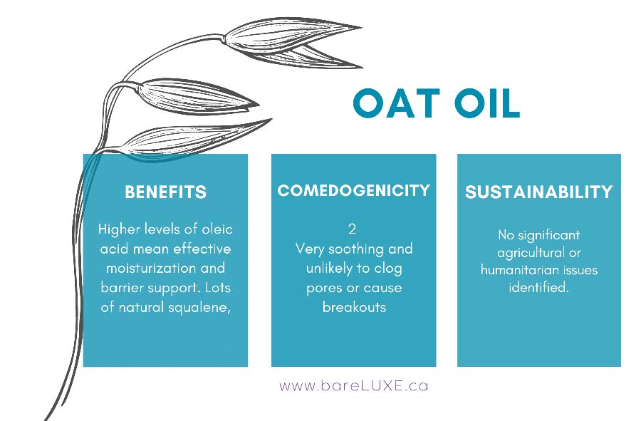 Oat Oil for Skincare - infographic by bareLUXE