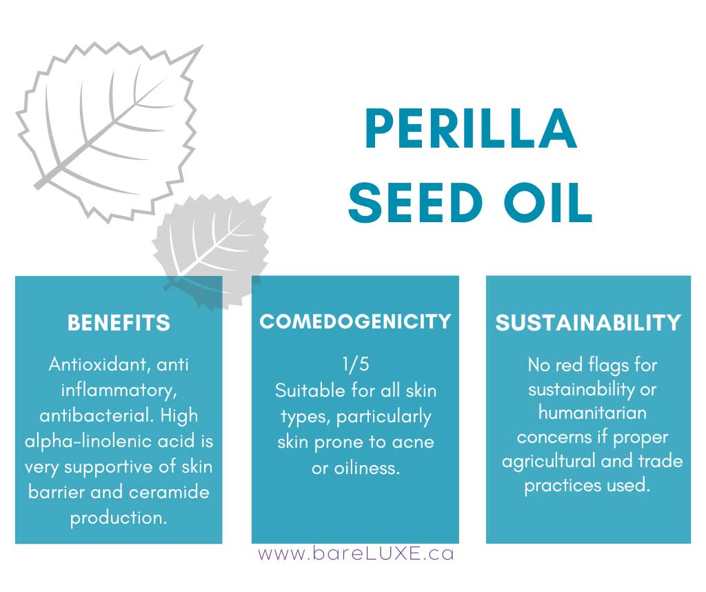 Perilla oil benefits for skin - infographic by bareLUXE Skincare